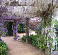 Abingdon Miniature Village - Accommodation Whitsundays