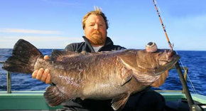 Bravo Fishing Charters - Accommodation Whitsundays 0