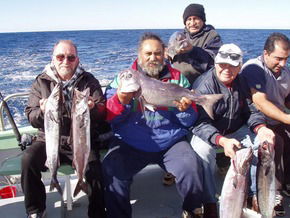 Bravo Fishing Charters - Accommodation Whitsundays 1