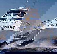 Sunshine Coast Fishing Charters - Accommodation Whitsundays