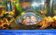Scitech - thumb 3