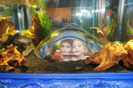 Scitech - Accommodation Whitsundays 3