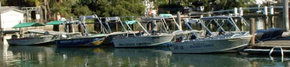 Brooklyn Central Boat Hire & General Store - Accommodation Whitsundays 1