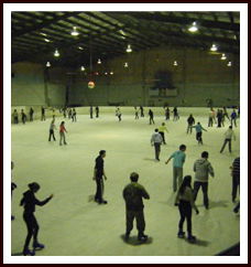 Bendigo Ice Stadium - Accommodation Whitsundays 1
