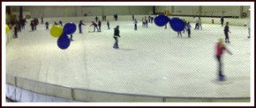 Bendigo Ice Stadium - Accommodation Whitsundays 2