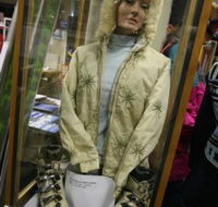 Alpine Museum - Accommodation Whitsundays