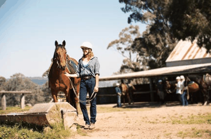 Watsons Trail Rides - Accommodation Whitsundays