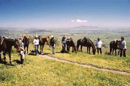 Watsons Trail Rides - Accommodation Whitsundays 1