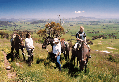 Watsons Trail Rides - Accommodation Whitsundays 2