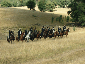 McCormacks Mountain Valley Trail Rides - Accommodation Whitsundays