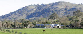 Blue Gum Farm - Accommodation Whitsundays 1