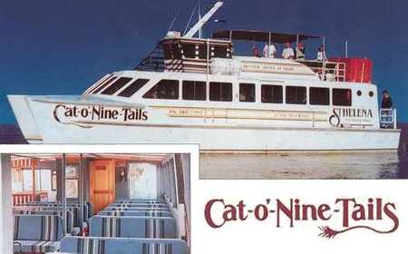 Cat O' NineTails - Accommodation Whitsundays 1