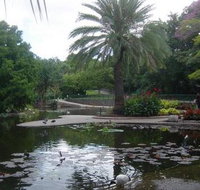 Brisbane City Botanic Gardens - Accommodation Whitsundays