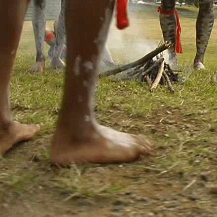 Musgrave Park Cultural Centre - Accommodation Whitsundays 1