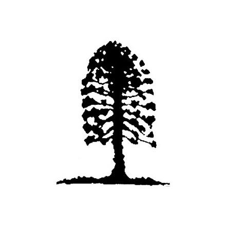 Musgrave Park Cultural Centre - Accommodation Whitsundays 2