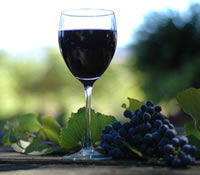  Accommodation Whitsundays