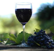 Lion Mill Vineyards - Accommodation Whitsundays