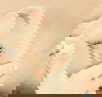 The Golden Door Spa  Health Club at Mirage Resort - Accommodation Whitsundays