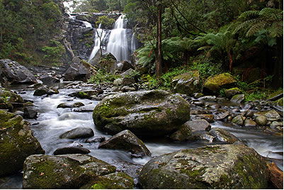 Stevensons Falls - Accommodation Whitsundays 2