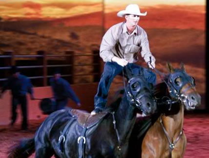 Australian Outback Spectacular - Accommodation Whitsundays 1