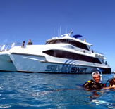 Silver Swift - Accommodation Whitsundays