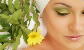 Indica Spa - Accommodation Whitsundays 1