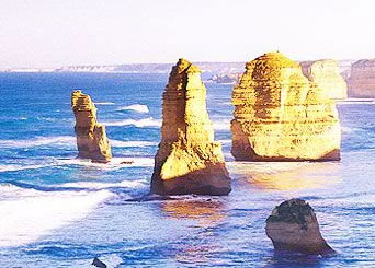 Bunyip Tours - Accommodation Whitsundays 3