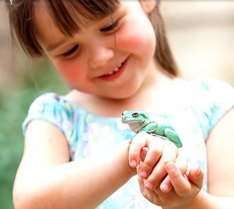 Reptile Encounters - Accommodation Whitsundays 1