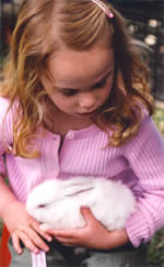 Heritage Craft Fair - Accommodation Whitsundays 2