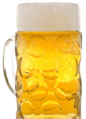 Duckstein Brewery - Accommodation Whitsundays 4