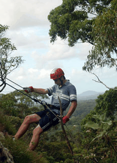 Adventures Around Brisbane - Accommodation Whitsundays