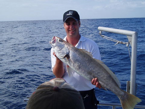 Blue Juice Charters - Accommodation Whitsundays 1