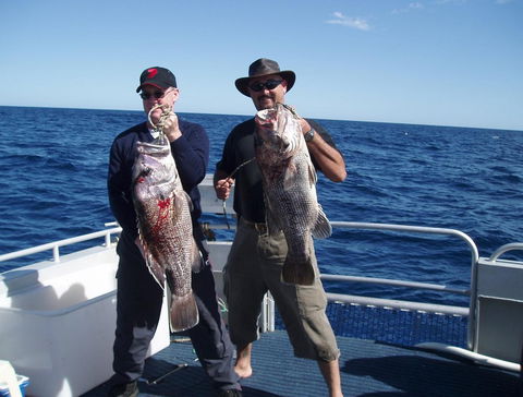 Blue Juice Charters - Accommodation Whitsundays 2