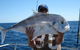 Blue Juice Charters - thumb 4