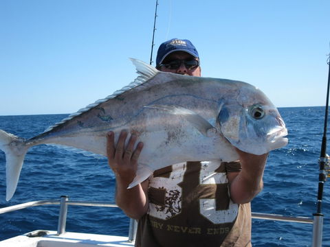 Blue Juice Charters - Accommodation Whitsundays 4