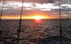 Blue Juice Charters - thumb 5