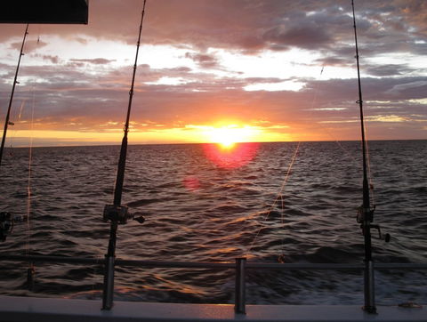 Blue Juice Charters - Accommodation Whitsundays 5
