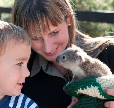 Australian Reptile Park - Accommodation Whitsundays 1