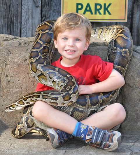 Australian Reptile Park - Accommodation Whitsundays 3