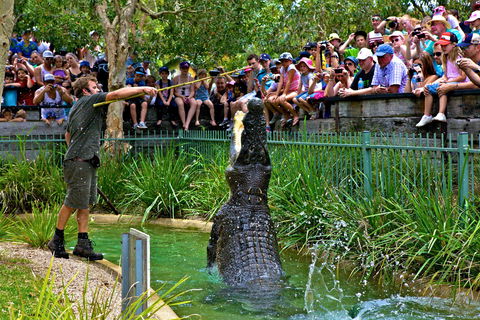 Australian Reptile Park - Accommodation Whitsundays 4