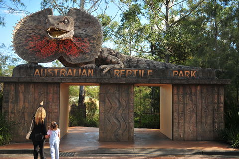 Australian Reptile Park - Accommodation Whitsundays 5