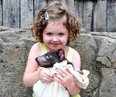 Australian Reptile Park - Accommodation Whitsundays 8