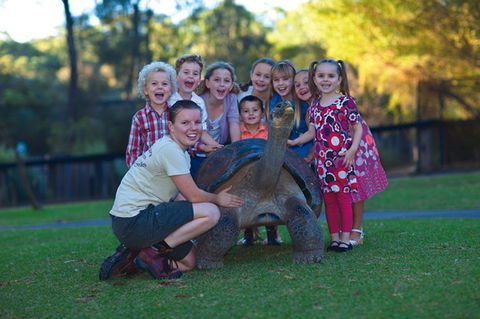 Australian Reptile Park - Accommodation Whitsundays 11