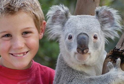 Featherdale Wildlife Park - Accommodation Whitsundays 1