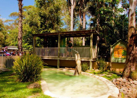 Featherdale Wildlife Park - Accommodation Whitsundays 2