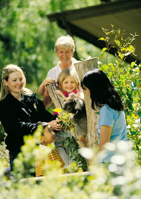 Cleland Wildlife Park - Accommodation Whitsundays 5