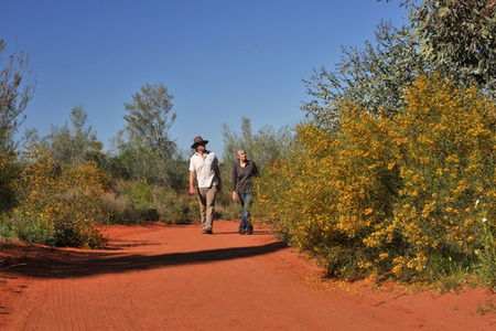 Alice Springs Desert Park - Accommodation Whitsundays 3