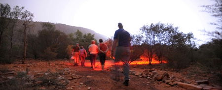 Alice Springs Desert Park - Accommodation Whitsundays 4