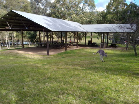 Calmsley Hill City Farm - Accommodation Whitsundays 5
