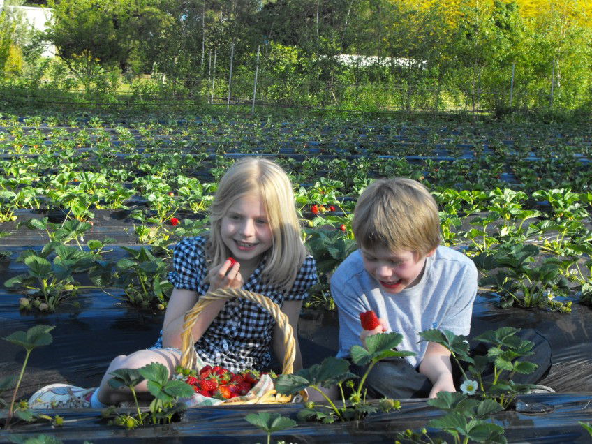  Accommodation Whitsundays